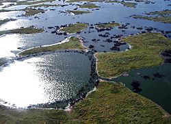 Archivo:Pantanal, south-central South America 5170