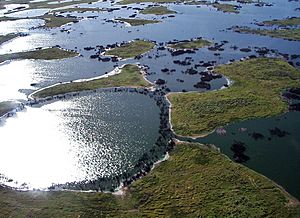 Archivo:Pantanal, south-central South America 5170