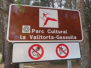 Archivo:Parque cultural de la Valltorta-Gasulla