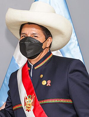 Archivo:Pedro Castillo presidente (cropped)