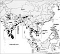 Pelecanus philippensis map-big