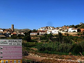 PeraltaSal.jpg