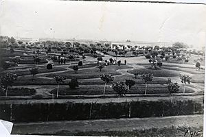 Archivo:Plaza de General Levalle a principios del siglo XX