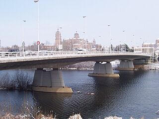 Puente Príncipe de Asturias Tormes.JPG