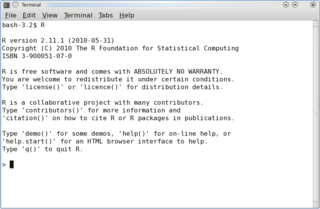 R Terminal.png