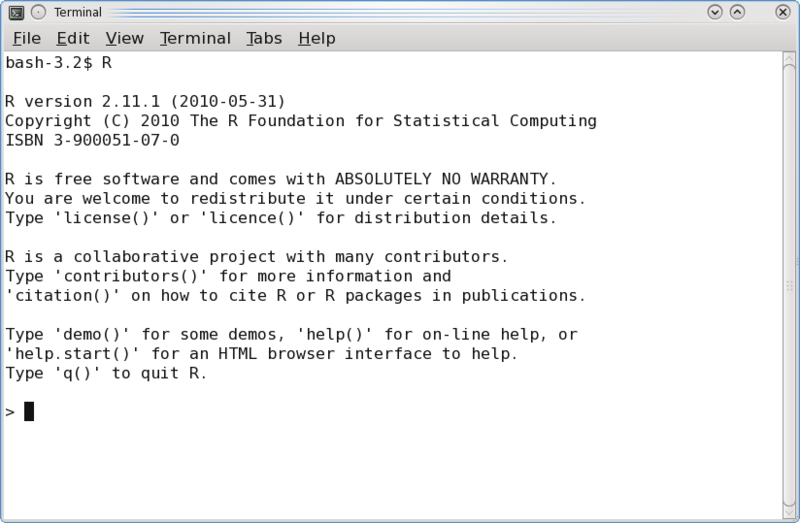 R Terminal