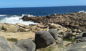 Reserva de lobos en Cabo Polonio