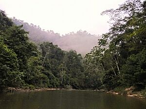 Archivo:Rio Moa, Serra do Divisor, Acre, Brasil 02