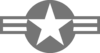 Roundel of the United States – Low Visibility – Type 1..svg