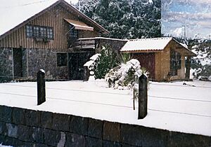 Archivo:Snow in São Joaquim (SC) 1988b