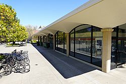 Stanford, California, United States Post Office, March 2019.jpg
