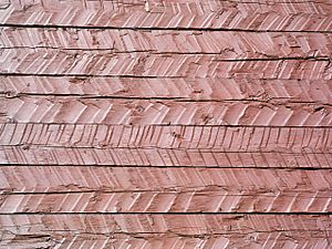 Archivo:Strasjo kapell wood surface
