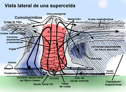 Archivo:Supercell side view es