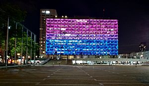Archivo:TLV city hall on the bisexual visibility day 2019