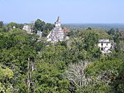 Archivo:Tikal12