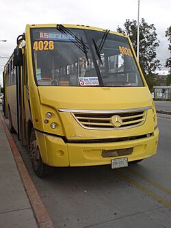 Archivo:Transporte urbano 1
