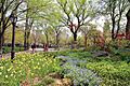 USA-NYC-Central Park-The Mall2