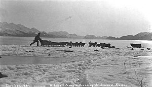 Archivo:US mail carrier and dog sled team arriving at Seward, ca 1912 (THWAITES 238)