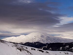 Volcán Quetrupillán.jpg