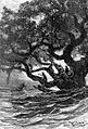 'The Children of Captain Grant' by Édouard Riou 063