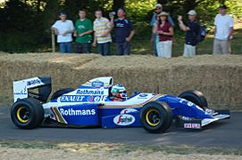 1994 Williams-Renault FW16B Goodwood, 2009