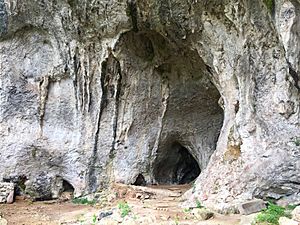 Archivo:Abrigo de Santo Adriano 002