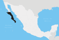 Archivo:Baja California Sur en México