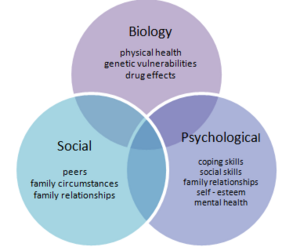 Archivo:Biopsychosocial Model of Health 1