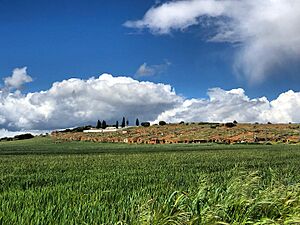 Archivo:Bodegas de coomonte