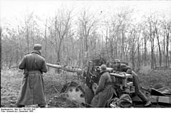 Archivo:Bundesarchiv Bild 101I-708-0262-20A, Flak-Geschütz in der Ukraine