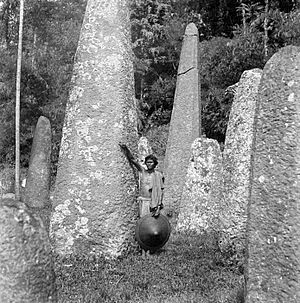 Archivo:COLLECTIE TROPENMUSEUM Monolithen in Toraja TMnr 10005152