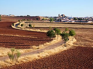 Camino a Torre de Juan Abad (45825745021).jpg