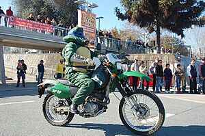 Archivo:Carabineros de Chile - Tortugas Ninja