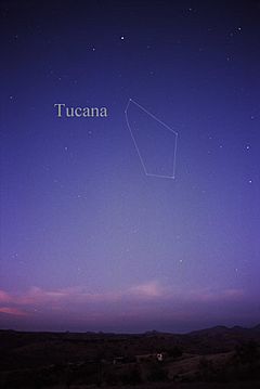 Archivo:Constellation Tucana