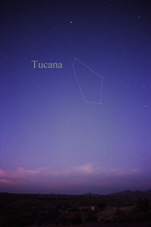 Archivo:Constellation Tucana