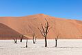 Dead Vlei, Sossusvlei, Namibia, 2018-08-06, DD 083