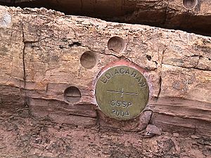 Archivo:Ediacaran GSSP - closeup