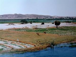 Archivo:Egypt Picture1