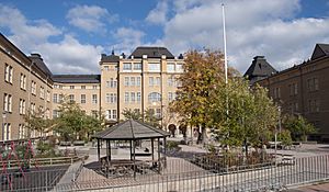 Archivo:Engelbrektsskolans skolgård
