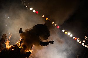 Archivo:Entierro de la Sardina 2014 Albacete Carnaval
