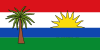 Flag of Hato Corozal (Casanare).svg