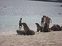 Archivo:Galapagos2007--01--07-13-07