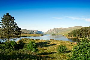 Archivo:Glenveagh National Park (2579034038)