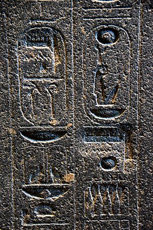 Archivo:Hieroglyphs on the backpillar of Amenhotep III's statue. There are 2 places where Akhenaten's agents erased the name Amun, later restored on a deeper surface. The British Museum, London