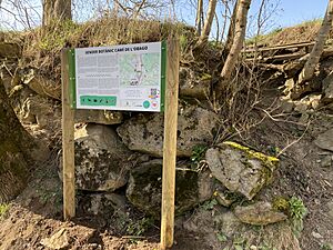Archivo:Inicio del sendero botánico
