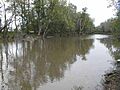 Iroquois River