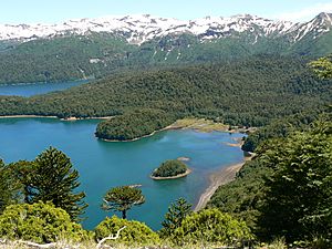 Archivo:Looking out over Lago Conguillio