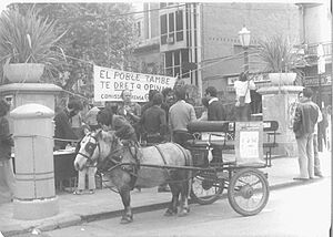 Archivo:Manifestacio gallecs1