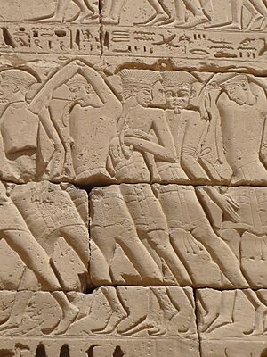 Archivo:Medinet Habu Ramses III14