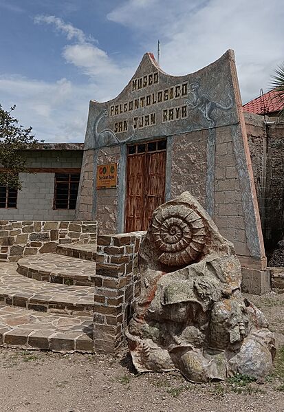Museo paleontológico San Juan Raya